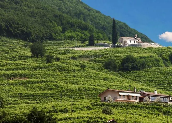 Agriturismo B&B Casa Bortolin