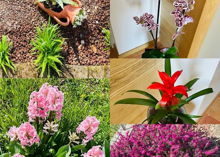 Borgo Cortivi B&B