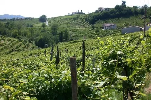 B&B Alla Pergola